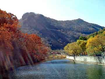 新澳天天开奖资料大全旅游团，博达站群